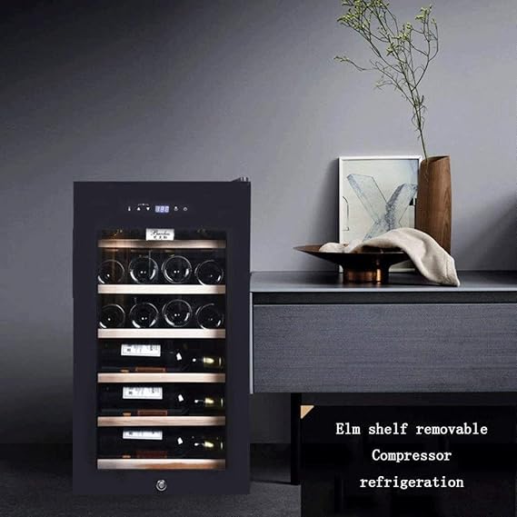 🌡️🍇 Miniature Wine Cabinet · Single/Multi-Temperature Zone Wine Cabinet 🍾🏰