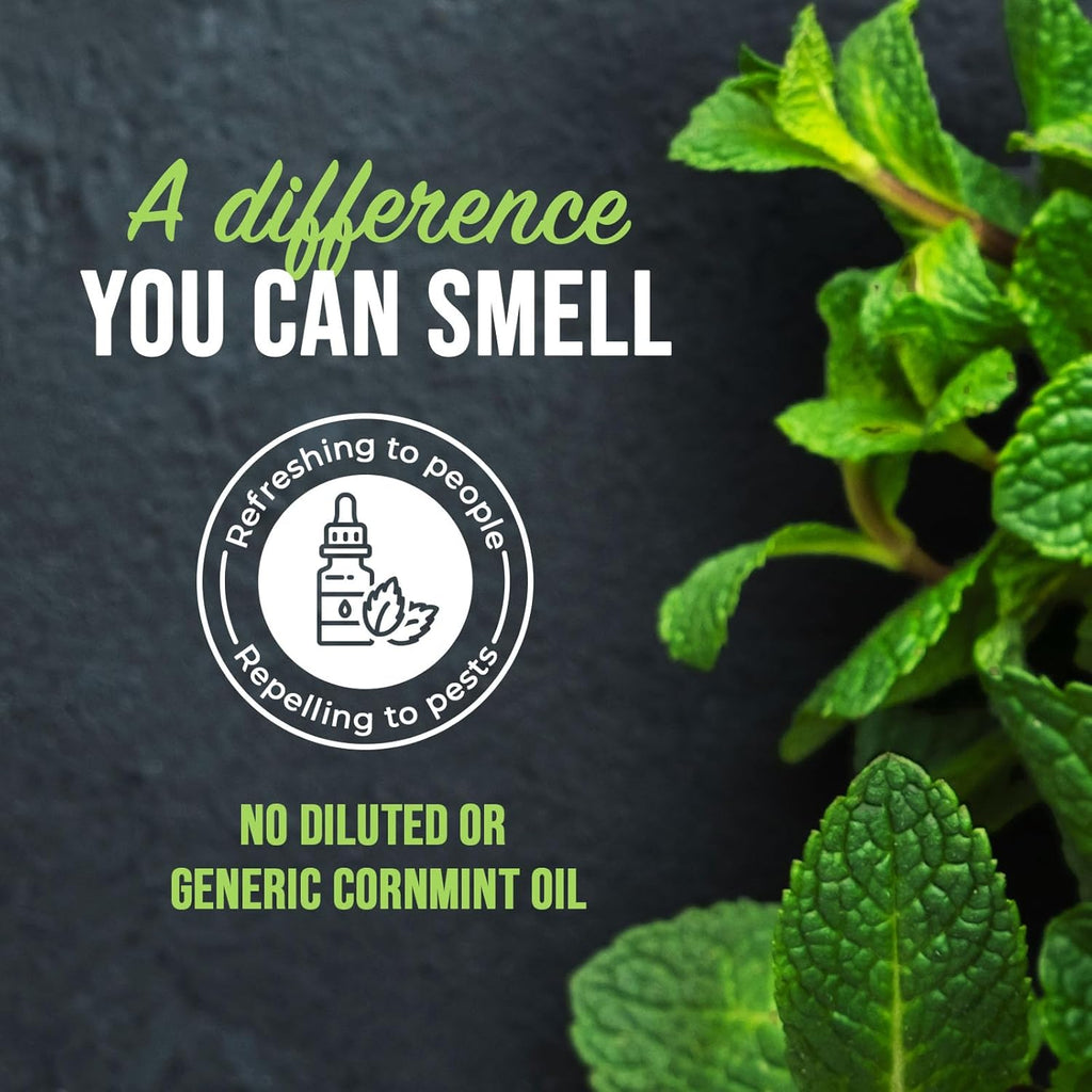 Mighty Mint Peppermint 🦟 – Natural Bug Repellent 🌿